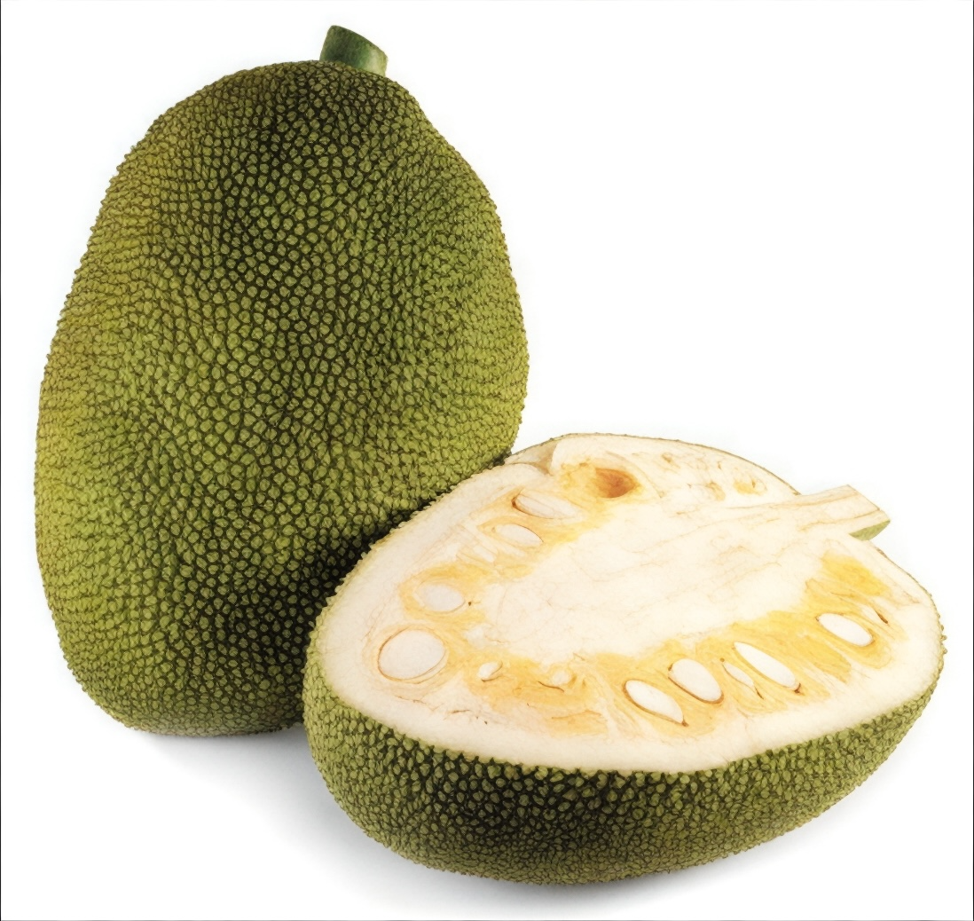 Jackfruit Powder / Raw Green Jackfruit Flour - Image 2
